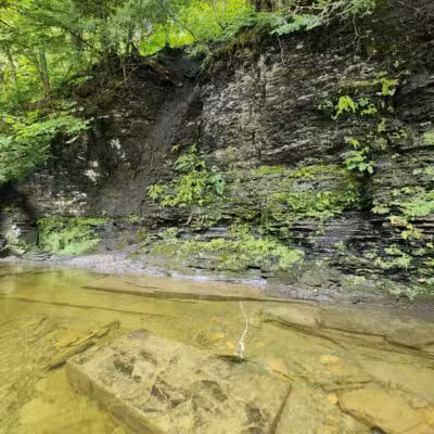 Totman Gulf - Adams, NY