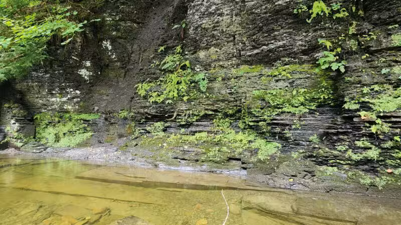 Totman Gulf - Adams, NY