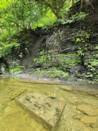 Totman Gulf - Adams, NY