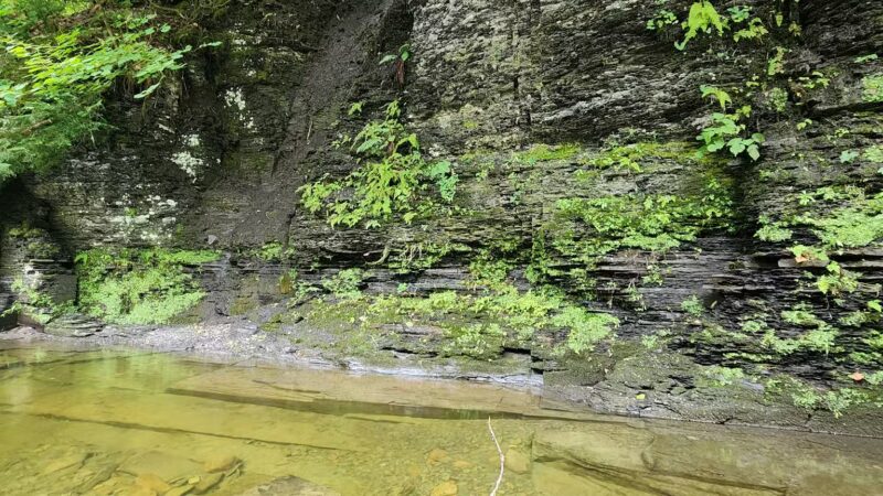Totman Gulf - Adams, NY