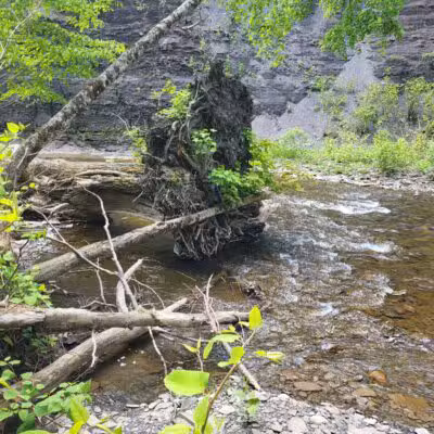 Totman Gulf - Adams, NY