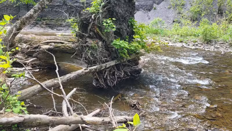Totman Gulf - Adams, NY