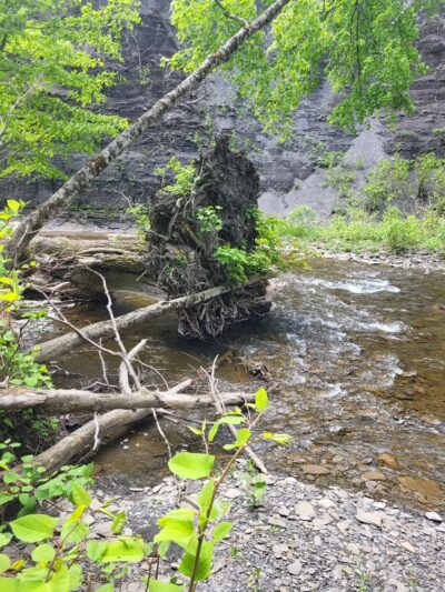 Totman Gulf - Adams, NY