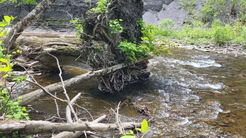 Totman Gulf - Adams, NY