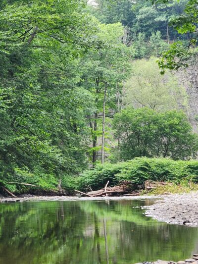 Totman Gulf - Adams, NY