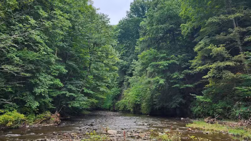 Totman Gulf - Adams, NY