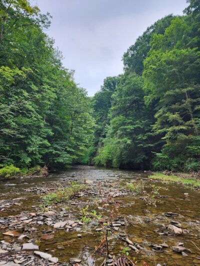 Totman Gulf - Adams, NY