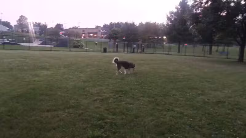 Adrian Dog Park - Adrian, MI
