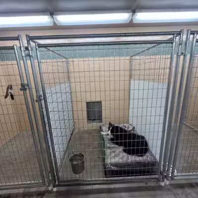 Alborn Kennels - Alborn, MN