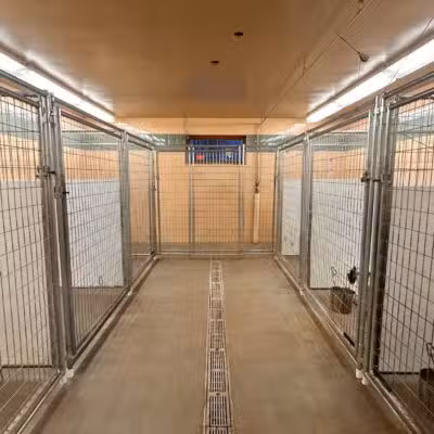 Alborn Kennels - Alborn, MN