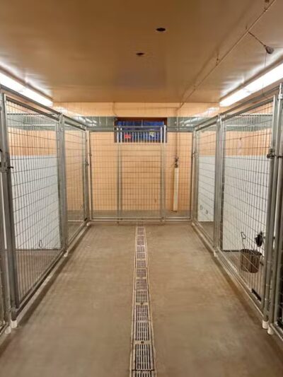 Alborn Kennels - Alborn, MN