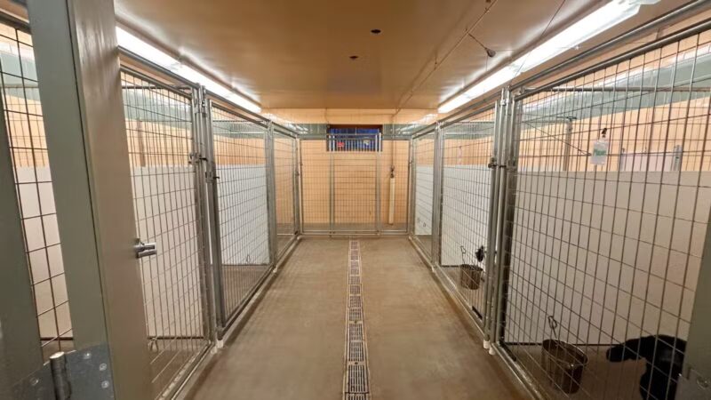 Alborn Kennels - Alborn, MN