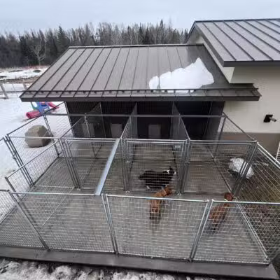 Alborn Kennels - Alborn, MN