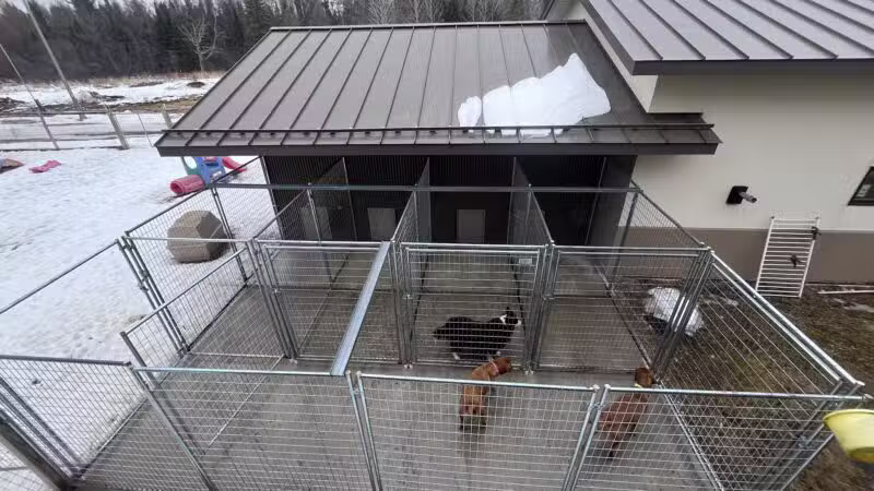 Alborn Kennels - Alborn, MN