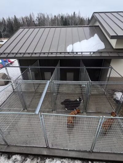 Alborn Kennels - Alborn, MN