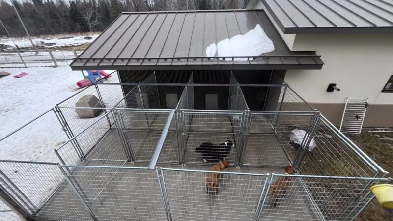 Alborn Kennels - Alborn, MN