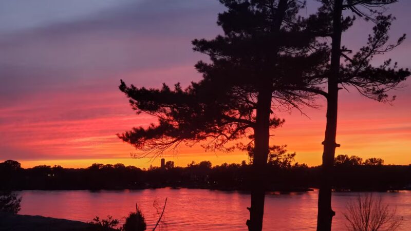 Scenic View Park - Alexandria Bay, NY