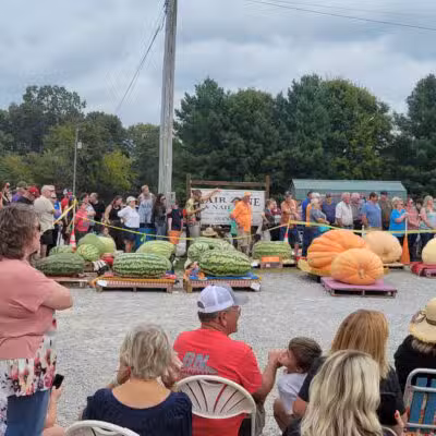 Allardt Park - Allardt, TN