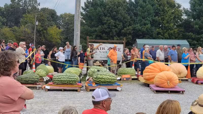 Allardt Park - Allardt, TN