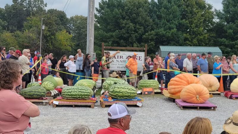 Allardt Park - Allardt, TN