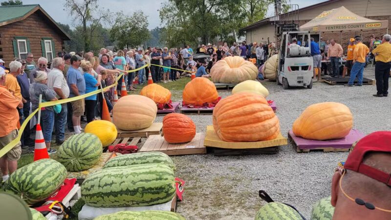 Allardt Park - Allardt, TN