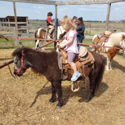 Country Critters Farm, LLC - Alvarado, TX