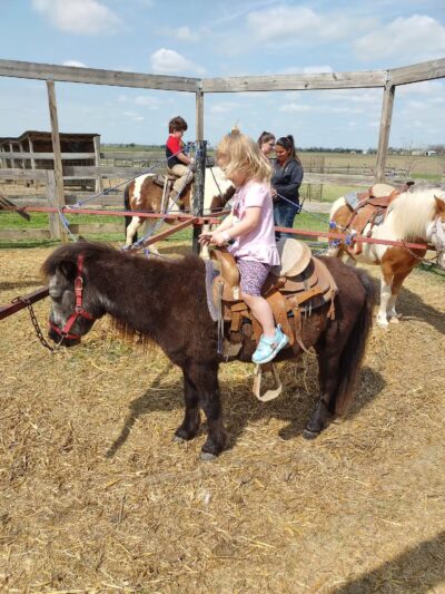 Country Critters Farm, LLC - Alvarado, TX