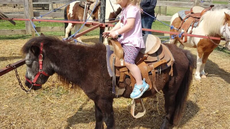 Country Critters Farm, LLC - Alvarado, TX