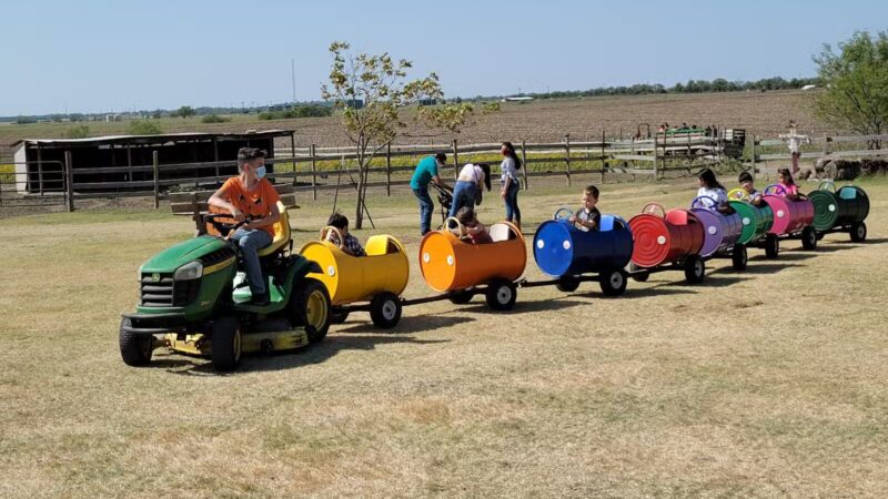 Country Critters Farm, LLC - Alvarado, TX