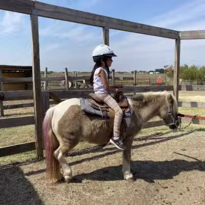 Country Critters Farm, LLC - Alvarado, TX