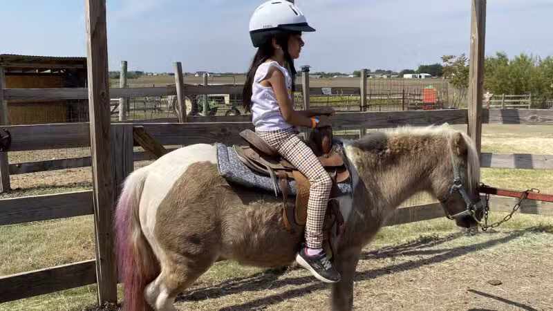 Country Critters Farm, LLC - Alvarado, TX