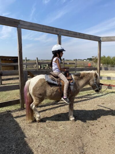 Country Critters Farm, LLC - Alvarado, TX