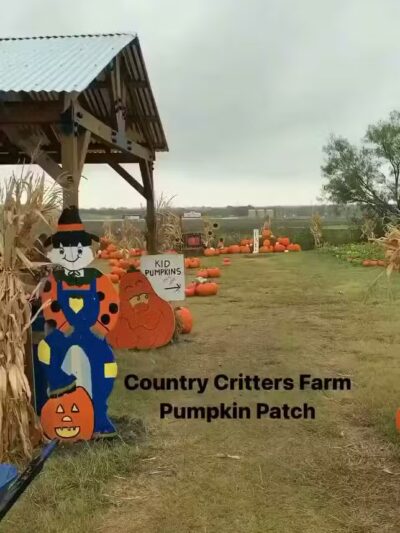 Country Critters Farm, LLC - Alvarado, TX