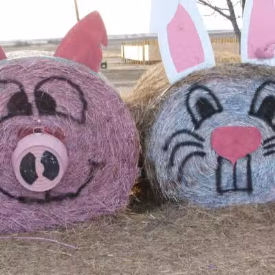 Country Critters Farm, LLC - Alvarado, TX