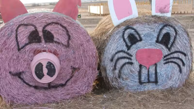 Country Critters Farm, LLC - Alvarado, TX