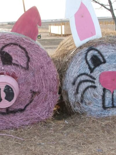 Country Critters Farm, LLC - Alvarado, TX