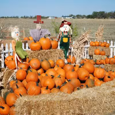 Country Critters Farm, LLC - Alvarado, TX