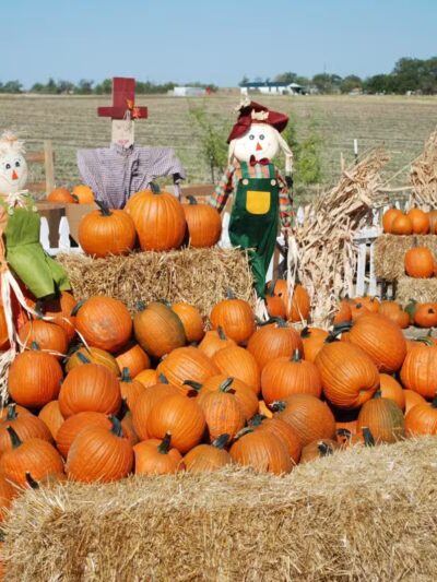 Country Critters Farm, LLC - Alvarado, TX