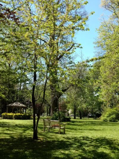 Pearsall Park - Amityville, NY