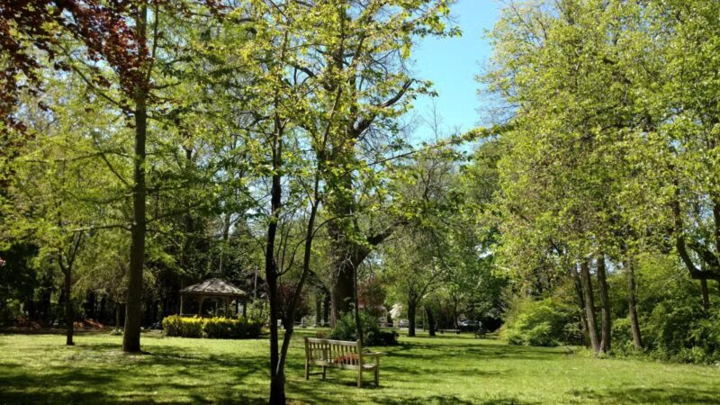 Pearsall Park - Amityville, NY