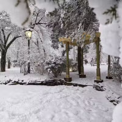 Pearsall Park - Amityville, NY
