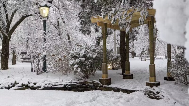 Pearsall Park - Amityville, NY