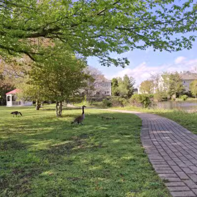 Peterkin Park - Amityville, NY