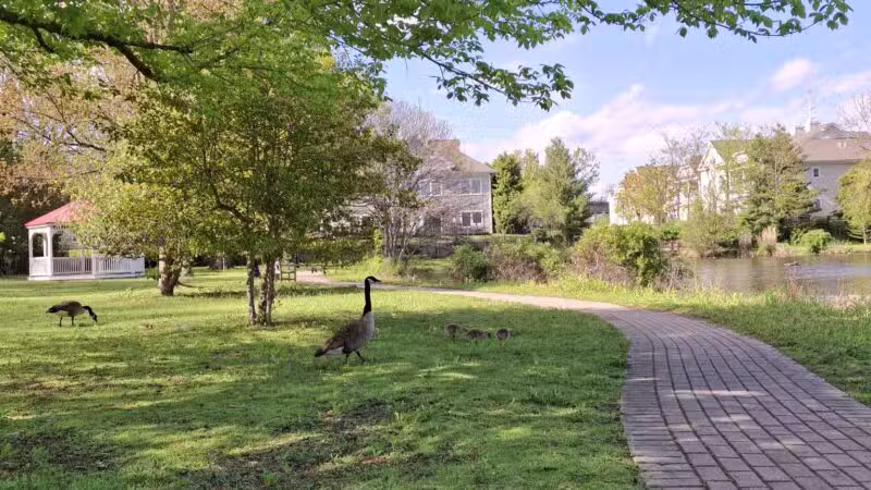 Peterkin Park - Amityville, NY