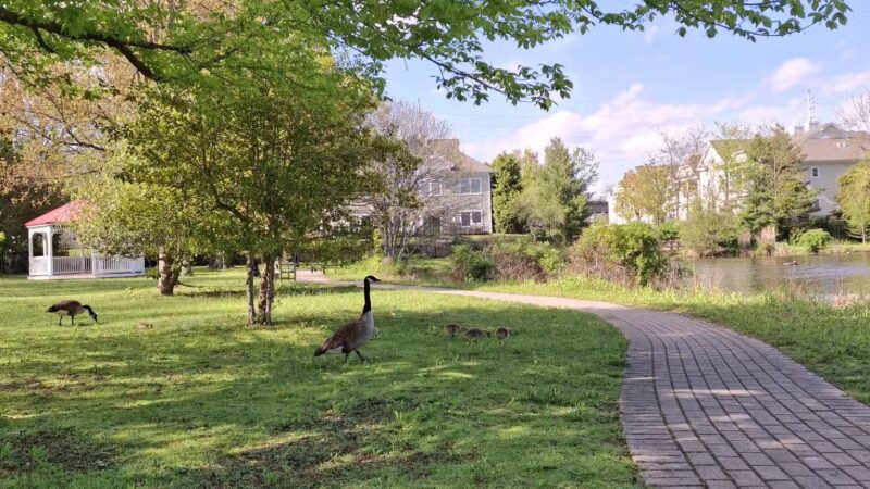 Peterkin Park - Amityville, NY