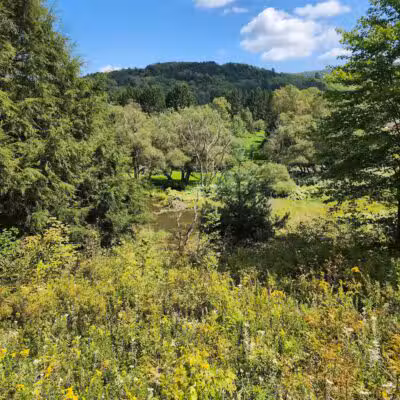 Andes Rail Trail - Andes, NY