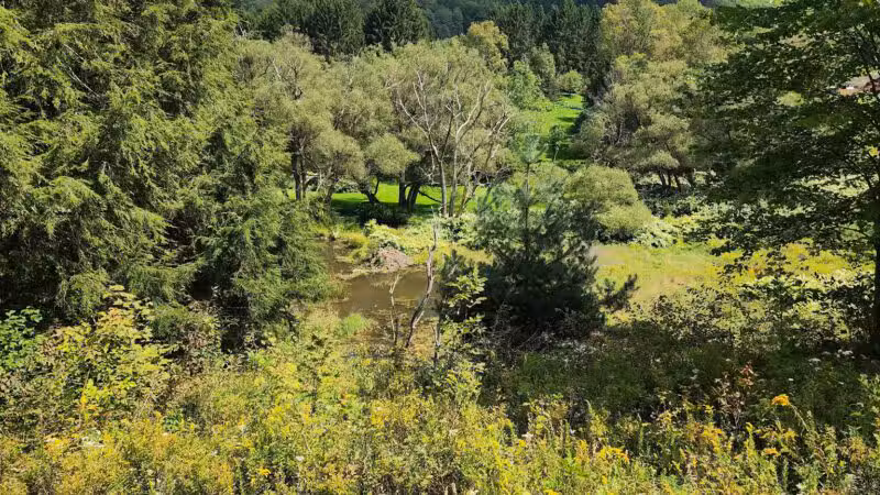 Andes Rail Trail - Andes, NY