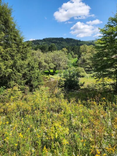 Andes Rail Trail - Andes, NY