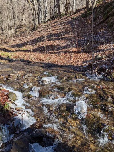 Andes Rail Trail - Andes, NY