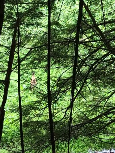 Andes Rail Trail - Andes, NY